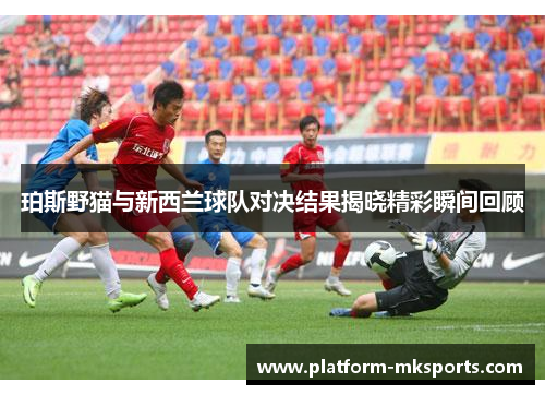 珀斯野猫与新西兰球队对决结果揭晓精彩瞬间回顾